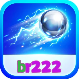 br222
